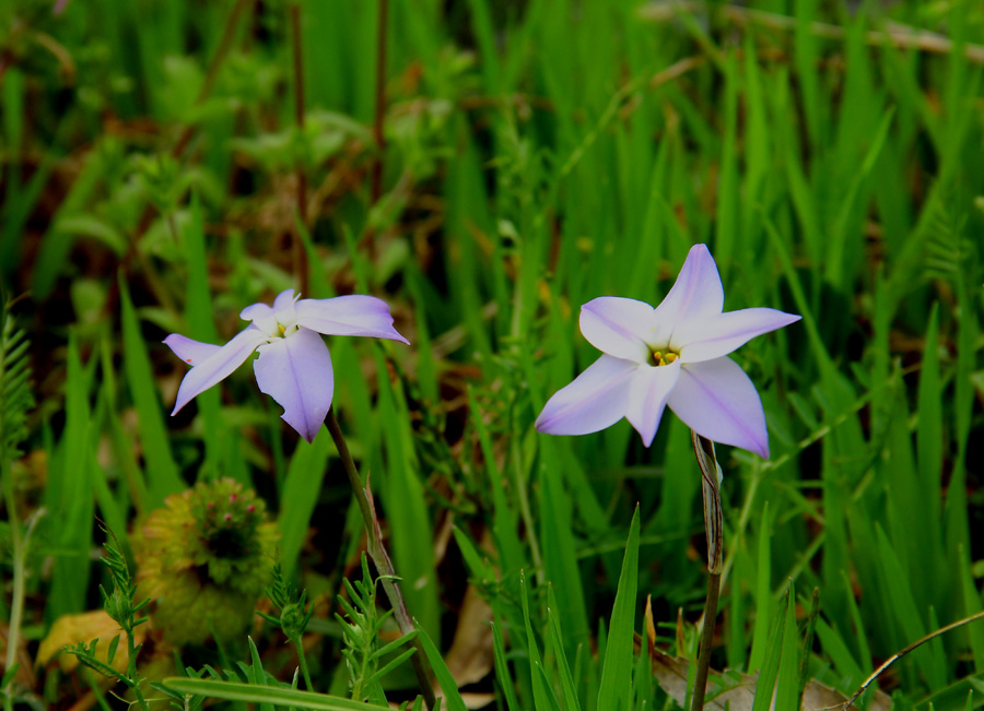 e0093903_22471750.jpg