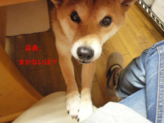 e0131506_1072697.jpg