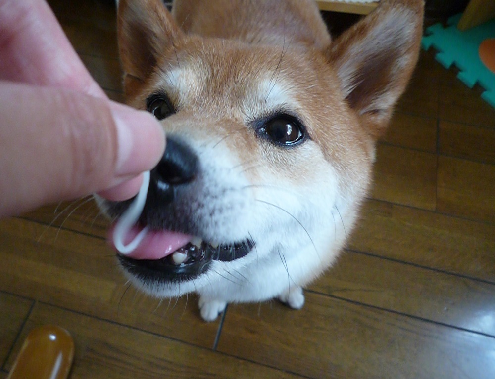 e0131506_108582.jpg