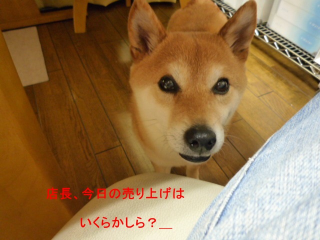 e0131506_94356100.jpg
