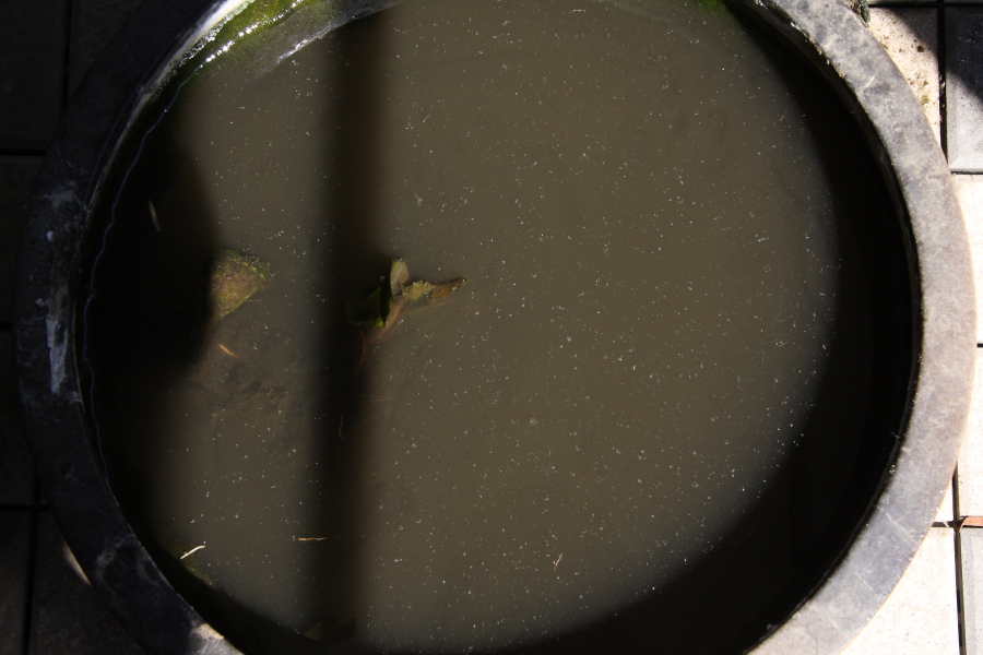 水温む _b0190710_2238135.jpg