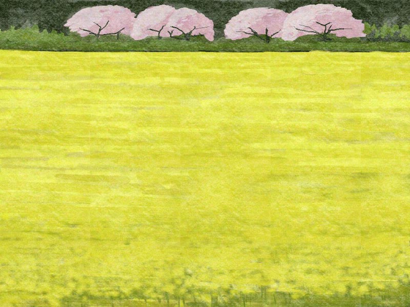 南伊豆の菜の花畑 私の絵画いろいろ 南伊豆の菜の花畑 私の絵画いろいろ