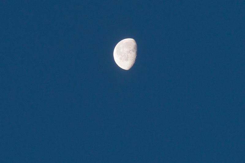a0278914_14132673.jpg