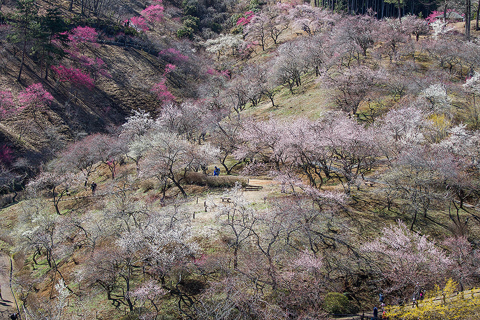 b0010915_22405352.jpg