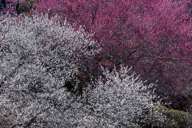 b0010915_22415486.jpg