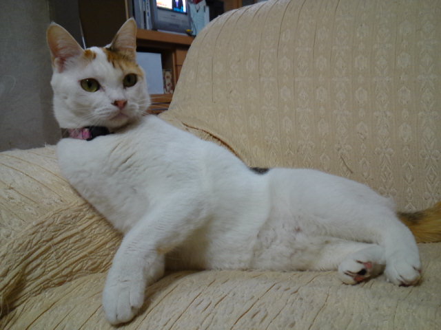 a0206019_00380344.jpg