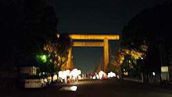 d0149223_17201956.jpg