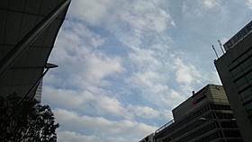 d0149223_18151856.jpg
