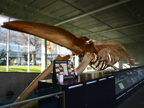 f0111926_01255705.jpg