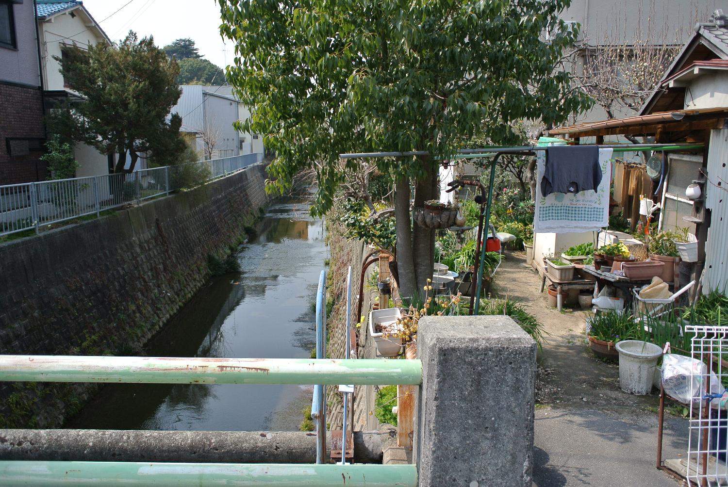 b0069128_8594012.jpg