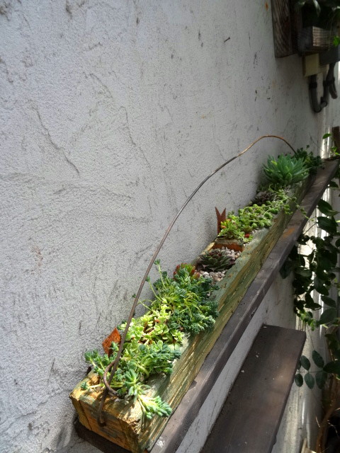 レギュラ-レッスン_c0102228_20201090.jpg