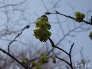 c0103830_13175491.jpg