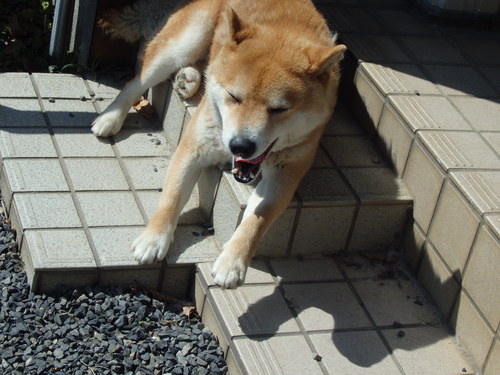 a0054240_036436.jpg