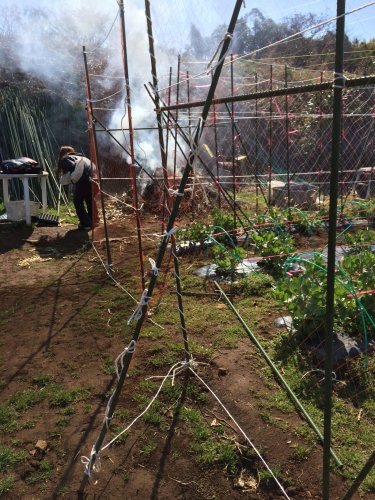 強護なネット小屋に・・・最終チェックです・・。_c0222448_12184968.jpg