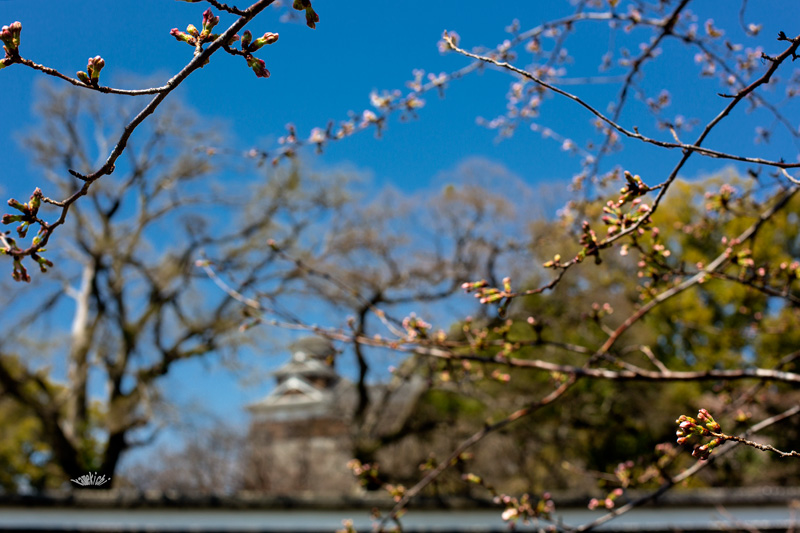 a0057752_8351921.jpg