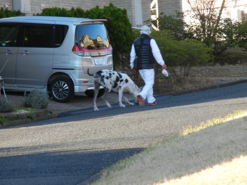 ’14,3,22(土)朝から危機一髪!_f0060461_1104116.jpg
