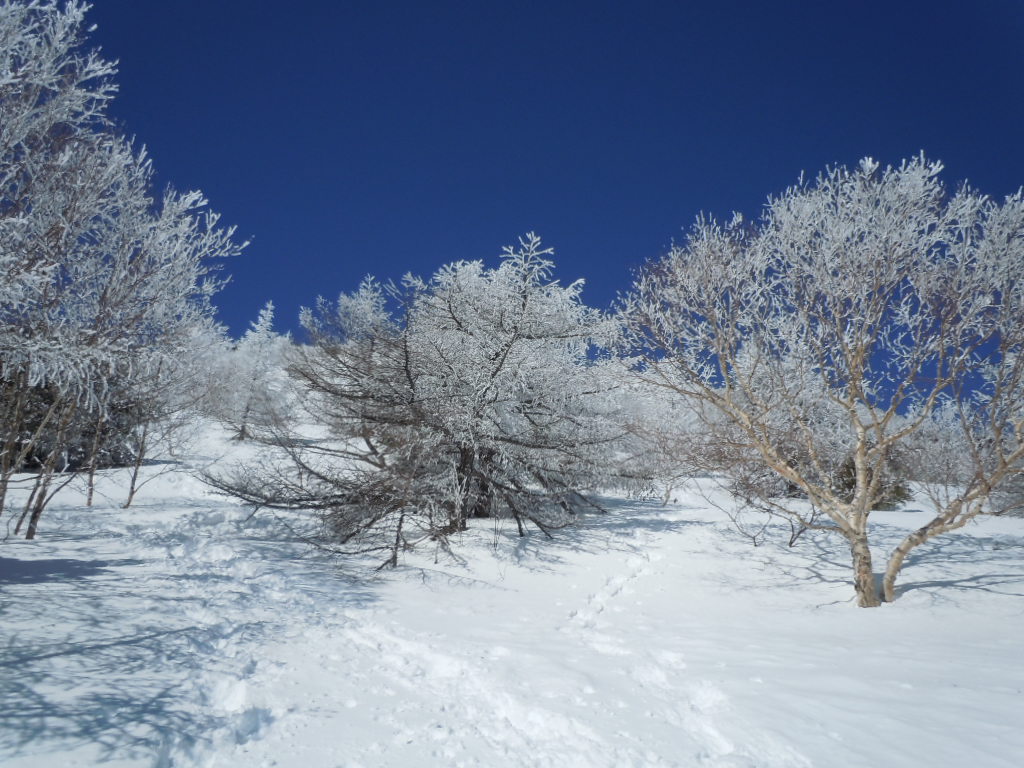f0145963_2113643.jpg