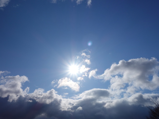c0265773_149627.jpg