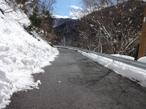 春先の美山をなめてしまいました!?_e0201281_2331171.jpg
