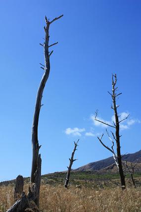 山の風景（わたしのお気に入り）_c0204385_2017399.jpg