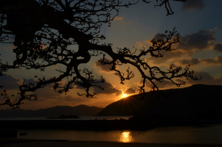 昨夕は、いい夕方でした♪_e0028387_1132272.jpg
