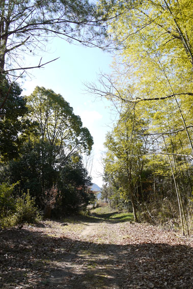 f0222692_2121657.jpg