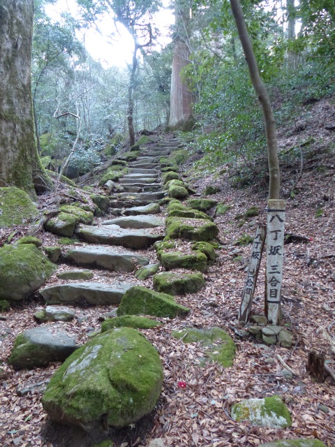 市房山に登りました。_b0025101_22121654.jpg