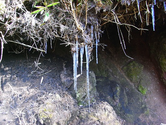 f0187402_22243145.jpg