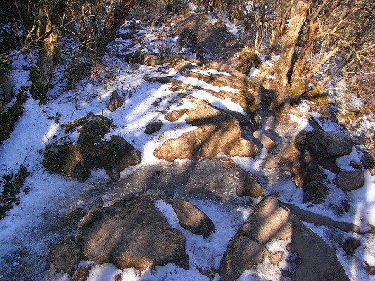 f0187402_2225073.jpg