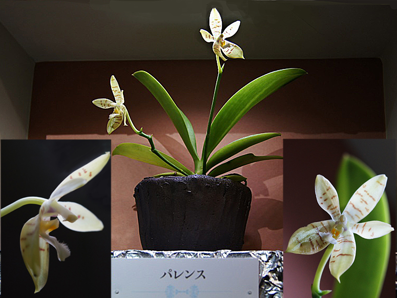 e0039703_2218230.jpg