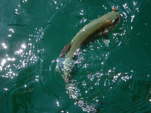 f0137709_04179.jpg