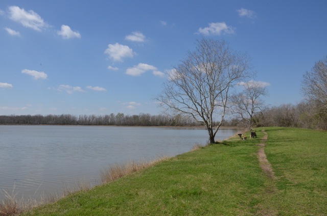 f0227709_404424.jpg