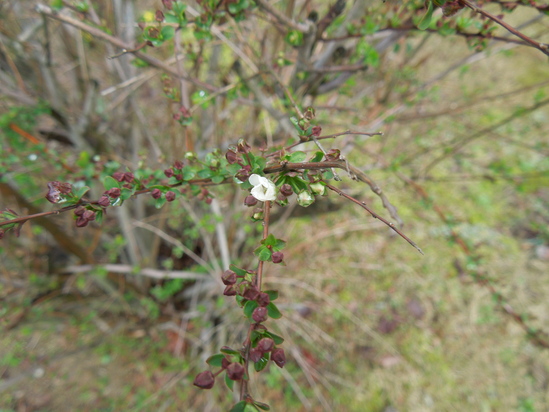 f0297809_23112082.jpg