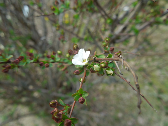 f0297809_23185982.jpg