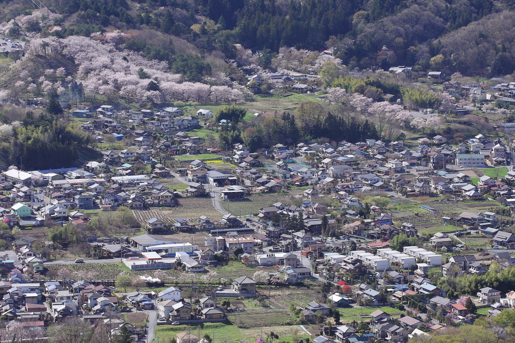 桜並木 - 2013年・秩父 - _b0190710_2222851.jpg