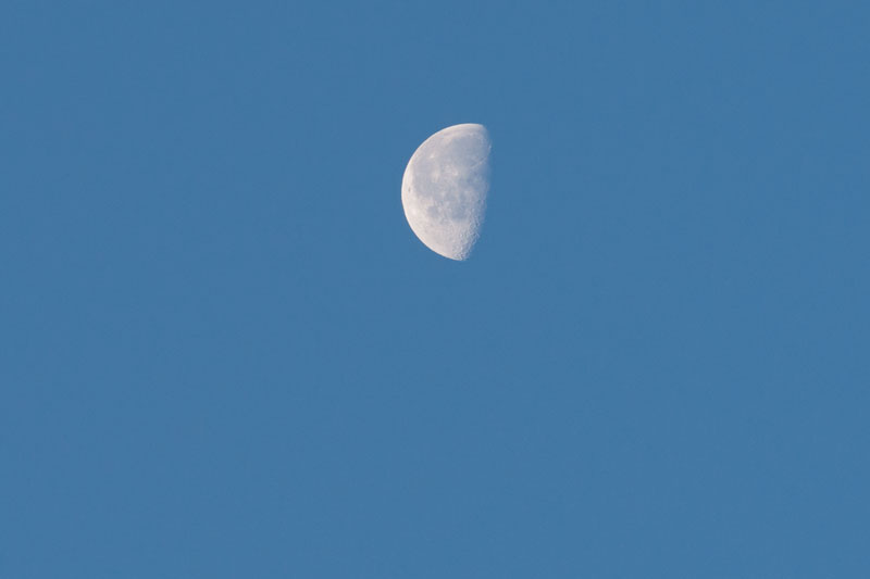 a0278914_8443169.jpg