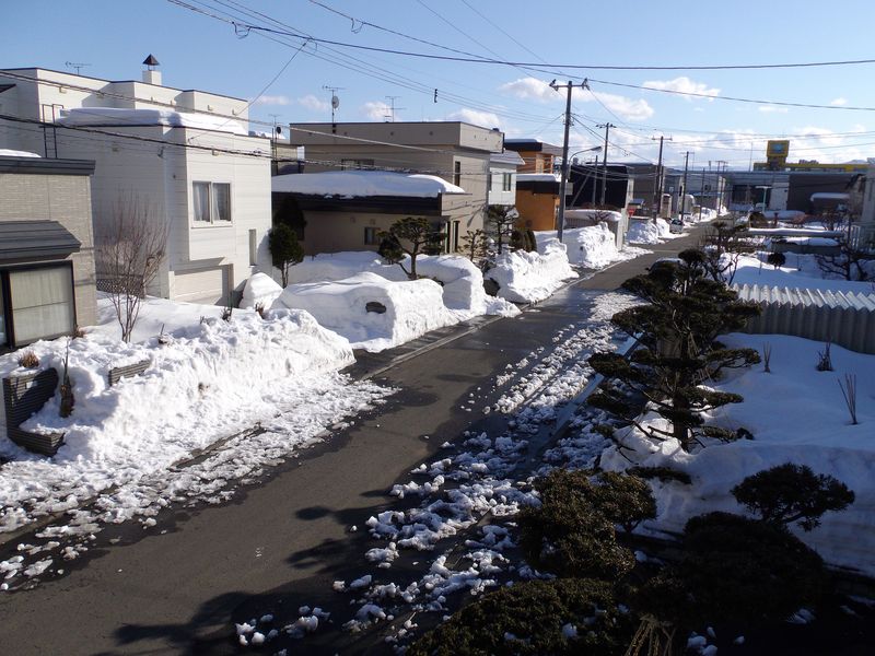 天気予報では明日から春です_c0025115_22161578.jpg