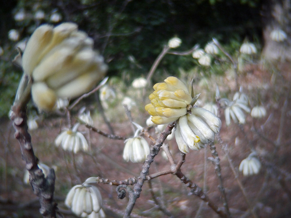 c0145418_1634240.jpg
