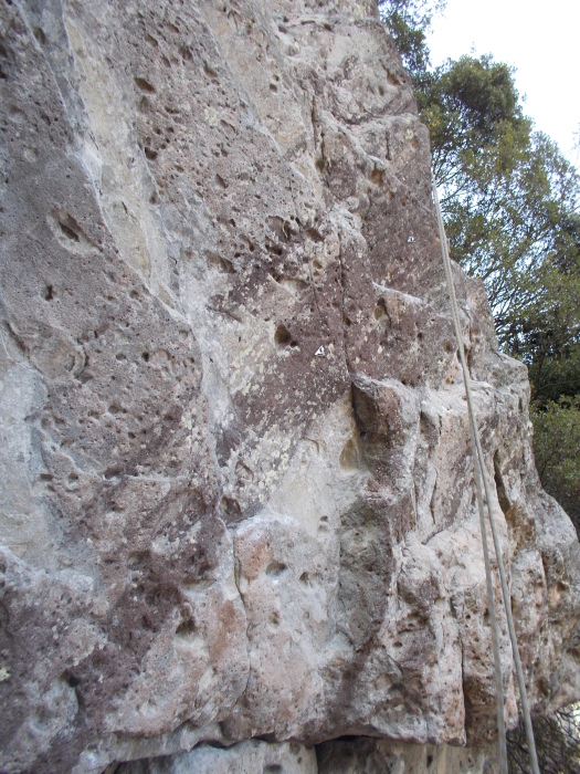 b0037220_22472200.jpg