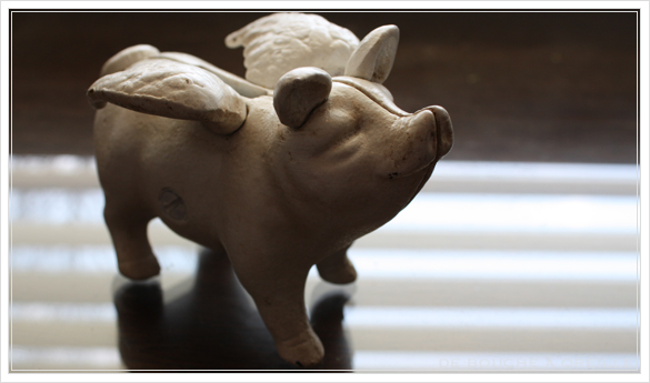 cochon ange 天使のぶた_d0184921_15304716.jpg