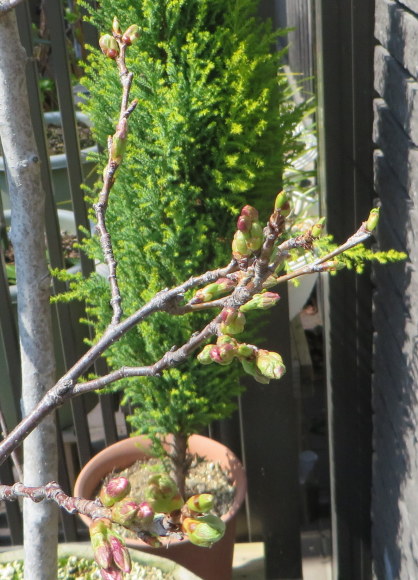 c0280322_22101150.jpg