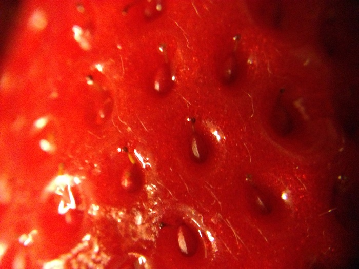 f0170524_8553879.jpg