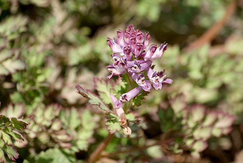 c0184125_22142665.jpg