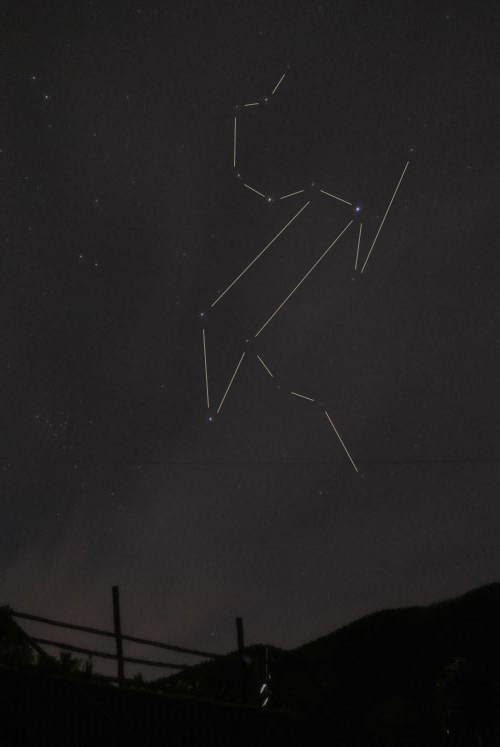 e0089232_11214685.jpg