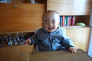Babygebarden 1歳児の手話と記憶力 たんたん ソーセージ王国をゆく Babygebarden 1歳児の手話と記憶力 たんたん ソーセージ王国をゆく