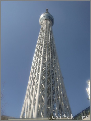 c0267235_233556100.jpg