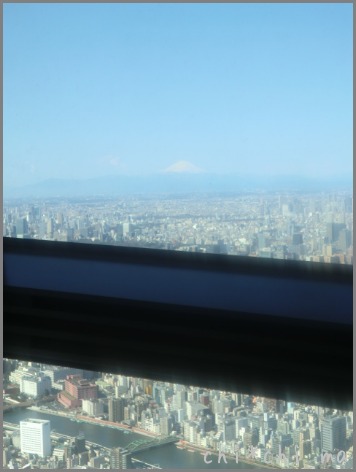 c0267235_2337680.jpg