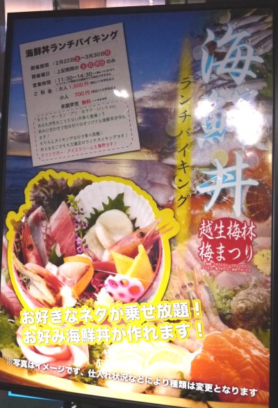 期間限定海鮮丼食べ放題 ニューサンピア埼玉おごせ 休暇を100 楽しむために 期間限定海鮮丼食べ放題 ニューサンピア埼玉おごせ 休暇を100 楽しむために