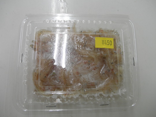 生きイサザ_e0212944_8215467.jpg