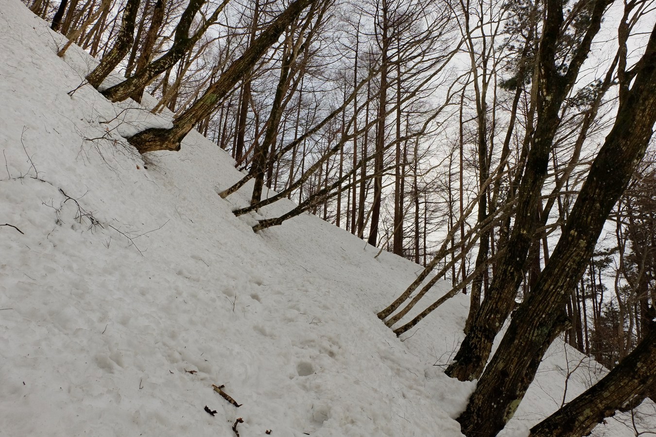a0317247_16504093.jpg